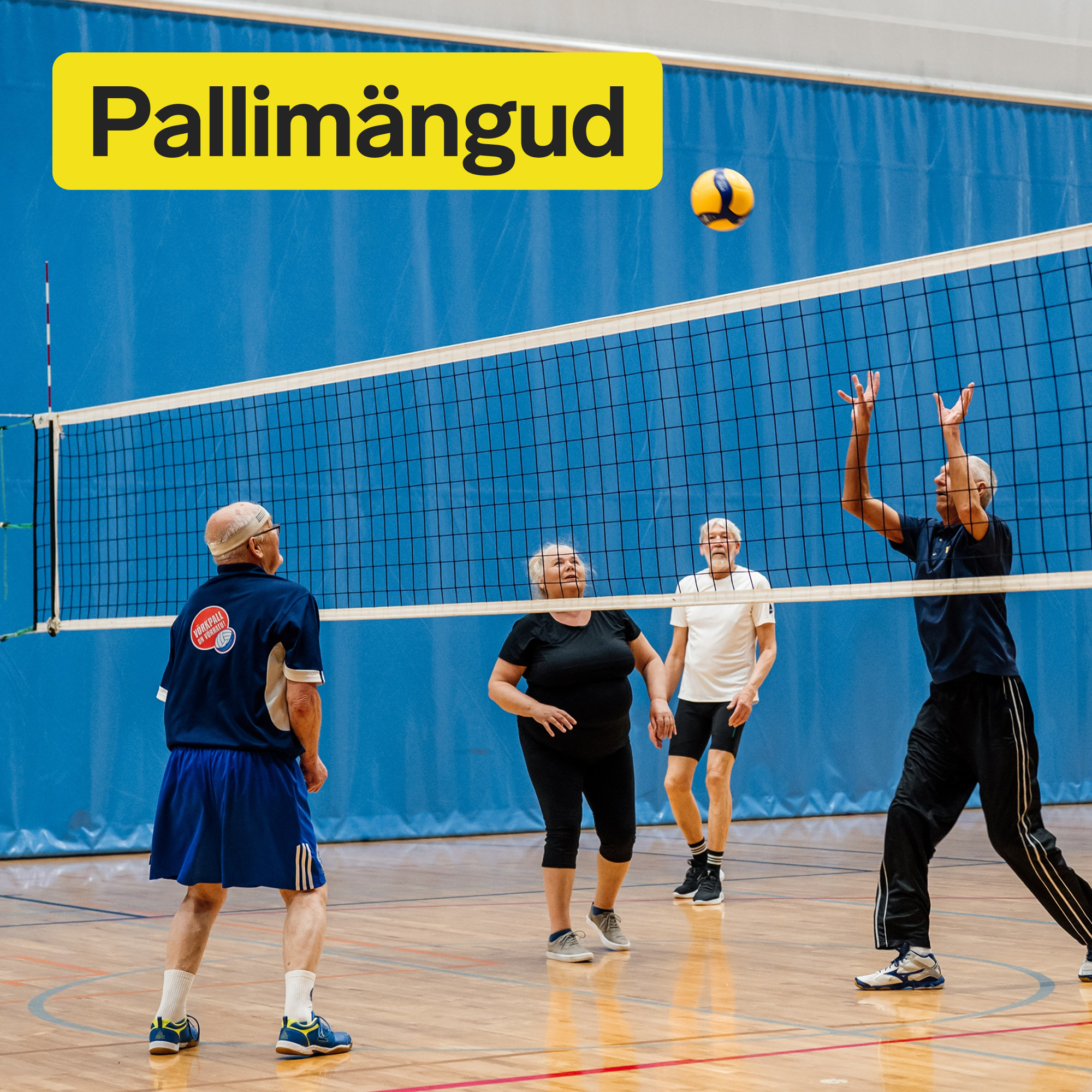 Korvpall Siili Spordihoones