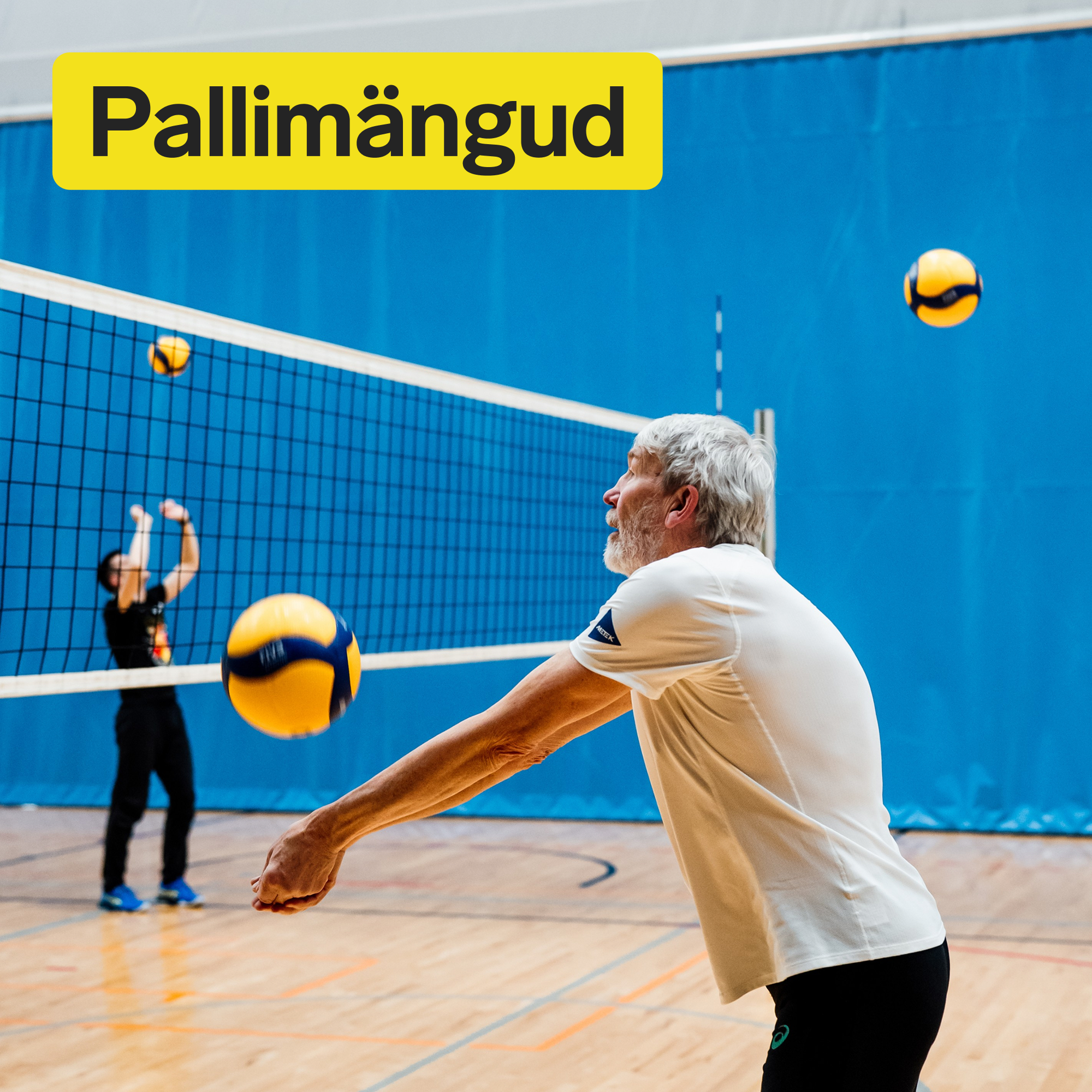 Võrkpall Sõle Spordikeskus